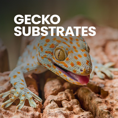 Gecko substrates for crested gecko, gargoyle gecko, mourning gecko, day gecko, and other arboreal gecko crested gecko setups