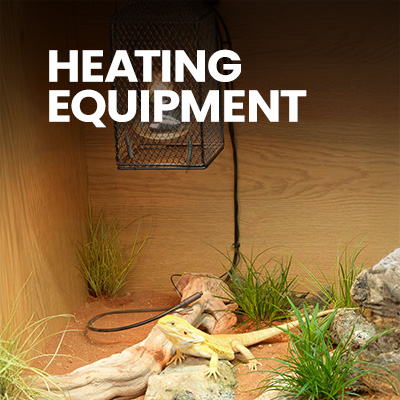 Bearded Dragon Setup equipped with Bearded Dragon Accessories like heat lamps, substrate, and artificial plants.