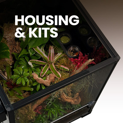 Crested gecko tank with gecko decor, plants, food dish with crested gecko food, and gecko substrate - crested gecko setup