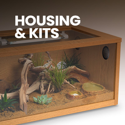 Leopard gecko setup and gecko starter kits include leopard gecko tank, gecko light, gecko substrate, gecko food, and more