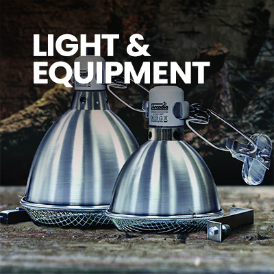 Bearded Dragon Setup with proper lighting and other Bearded Dragon Accessories - perfect Bearded Dragon Starter Kit.