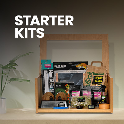 A tortoise starter kit filled with all of the equipment and tortoise accessories you will need to create a perfect environment for your first tortoise.