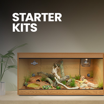 Bearded Dragon Starter Kit with all you'll need, including vivarium, light, substrate, and more Bearded Dragon Accessories.