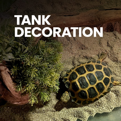 A pet tortoise crawling across its tortoise table filled with tortoise substrate and decorations. Swell UK stock a wide range of tortoise accessories, shop now.