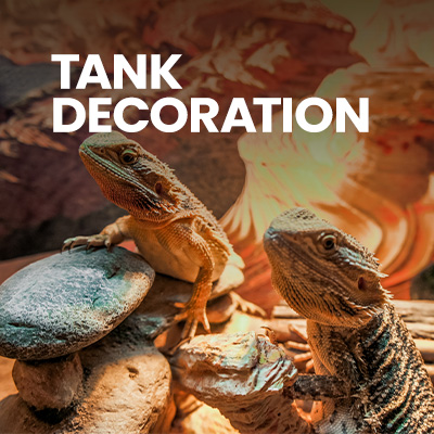 Bearded Dragon Cage full of decorations great for Bearded Dragons, like rocks, branches, wood, and artificial plants.
