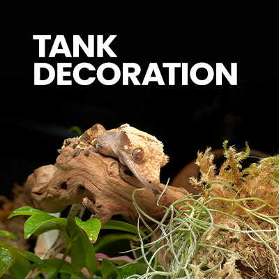 Tank decor for crested gecko tank crested gecko setup - plants, branches, and hides for crested geckos and more gecko pet