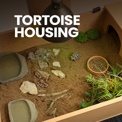 A tortoise table with sandy tortoise substrate and other tortoise accessories, including a tortoise house and tortoise water dish. Buy all of these tortoise accessories at Swell UK.